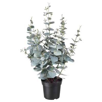 FEJKA Artificial potted plant, in/outdoor eucalyptus, 15 cm