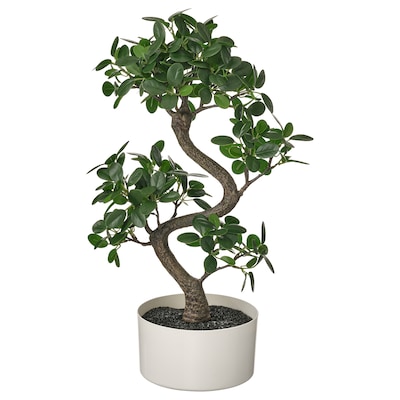 FEJKA Artificial potted plant with pot, in/outdoor bonsai, 16 cm