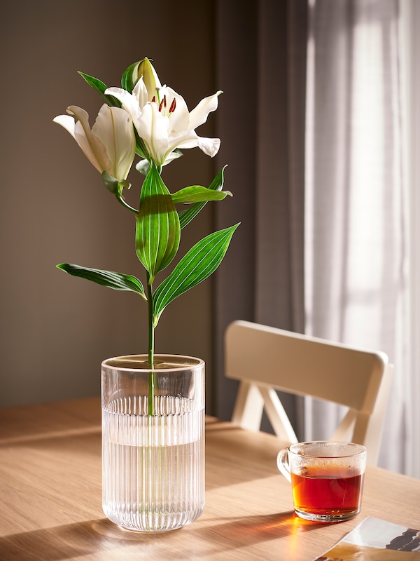 GRADVIS glass vase on a table with a single stem flower 