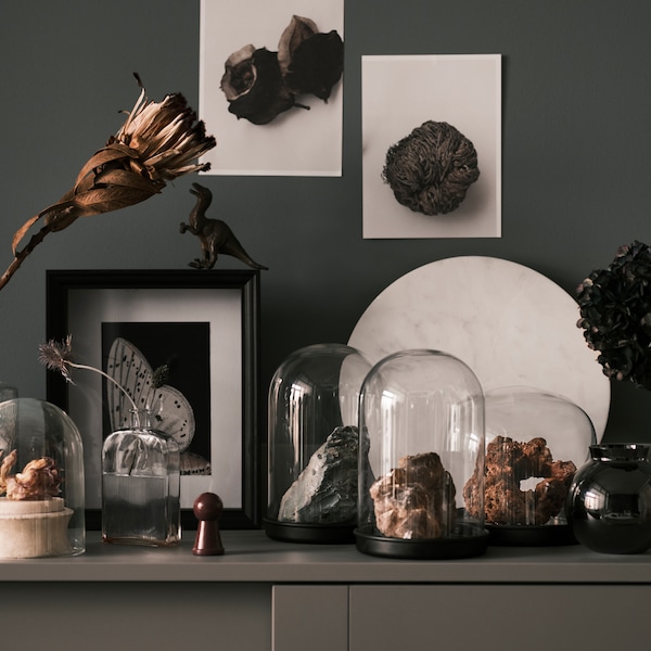 Various rocks displayed in SKÖNJA glass domes on top of a grey HAUGA glass-door cabinet, next to a flower in a glass vase.
